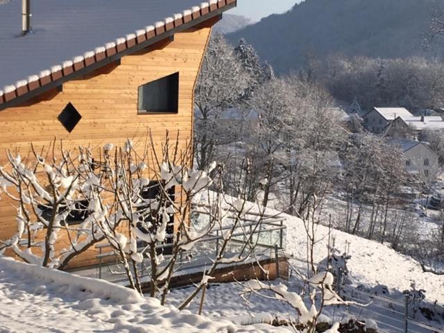 Villa Cora Venez Neuve Avec Spa Saint-Bresson Eksteriør billede