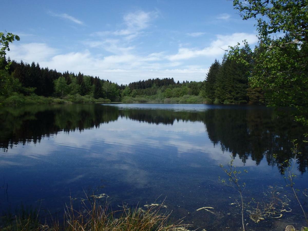 Villa Cora Venez Neuve Avec Spa Saint-Bresson Eksteriør billede