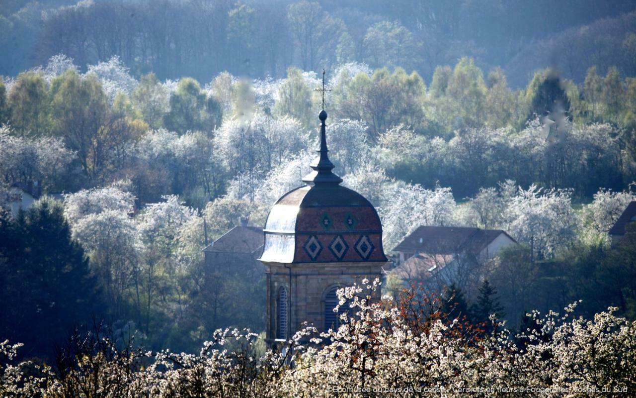 Villa Cora Venez Neuve Avec Spa Saint-Bresson Eksteriør billede